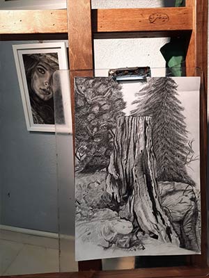 آموزشگاههای هنری منطقه 14