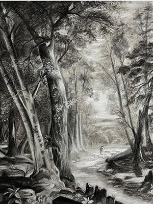 آموزشگاههای هنری منطقه 6