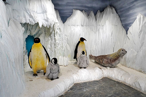  اقیانوس پارک