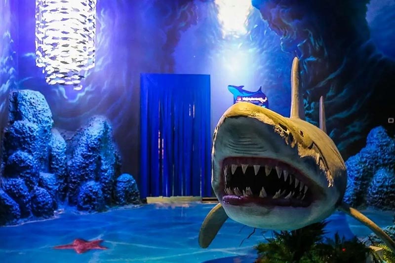  اقیانوس پارک