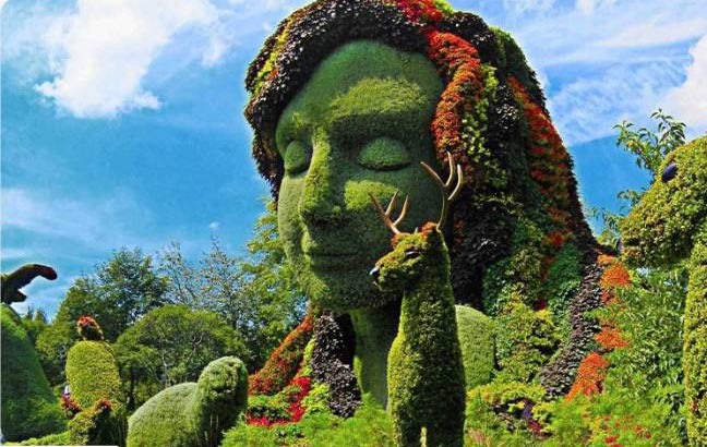 باغ ملی گیاه شناسی