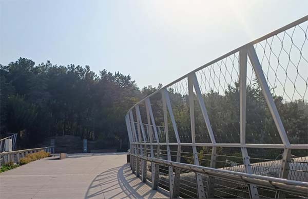 بوستان طالقانی 