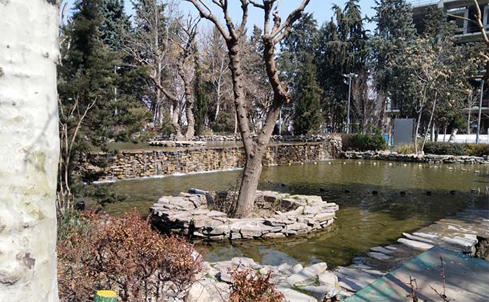 بوستان طالقانی 