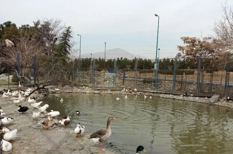 بوستان پردیسان