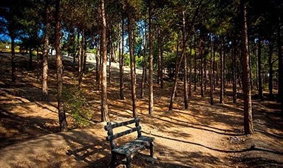 پارک جنگلی چیتگر