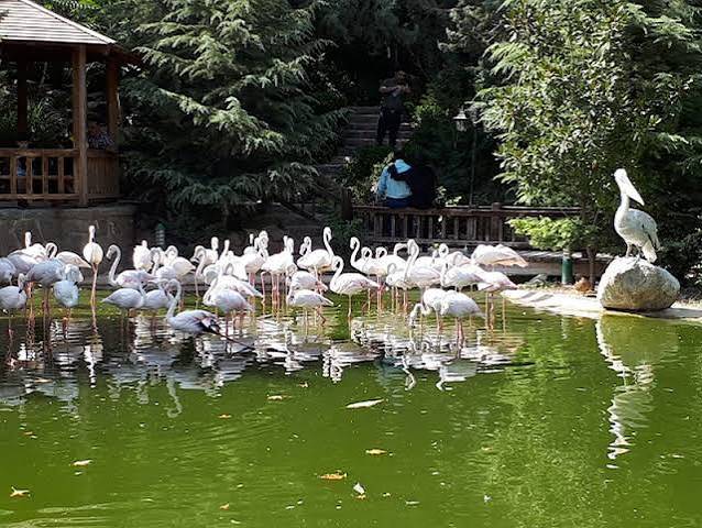 باغ پرندگان