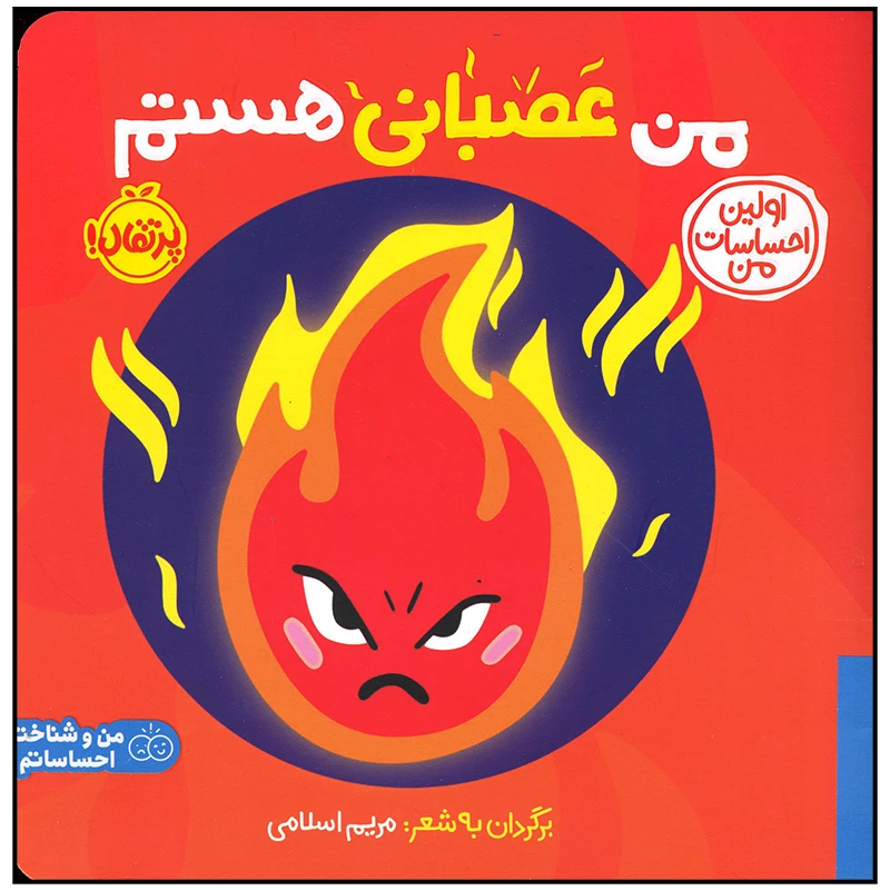 من عصبانی هستم